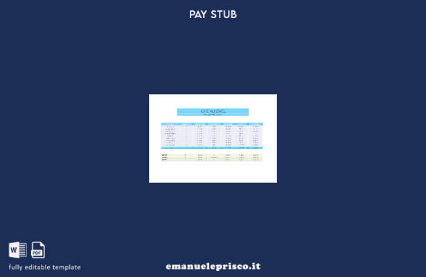 stile verificato Modello di busta paga del report di riepilogo dei pagamenti